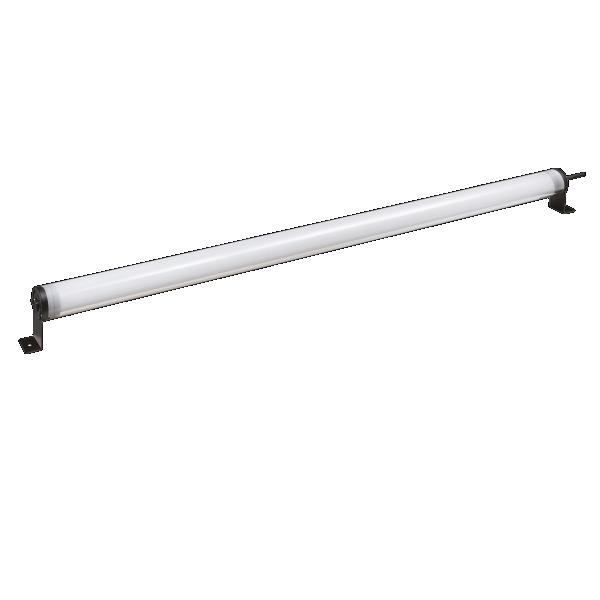 img25